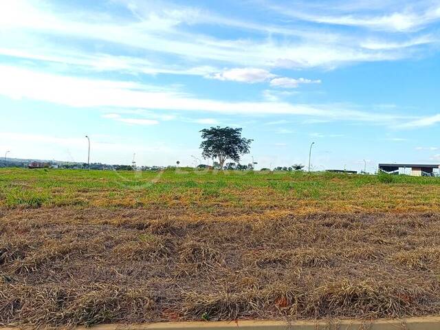 #100019 - Área para Venda em São José do Rio Preto - SP