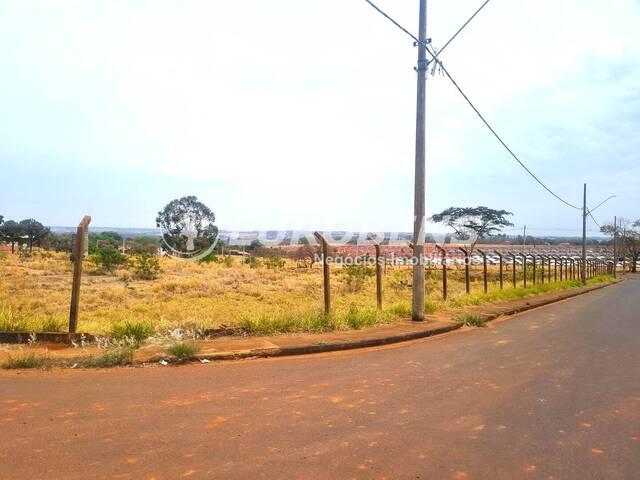 #100111 - Área Comercial para Venda em São José do Rio Preto - SP