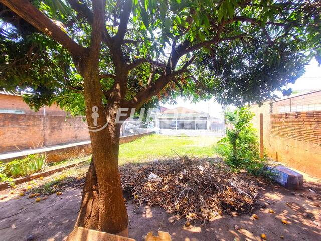 #100136 - Casa para Venda em São José do Rio Preto - SP